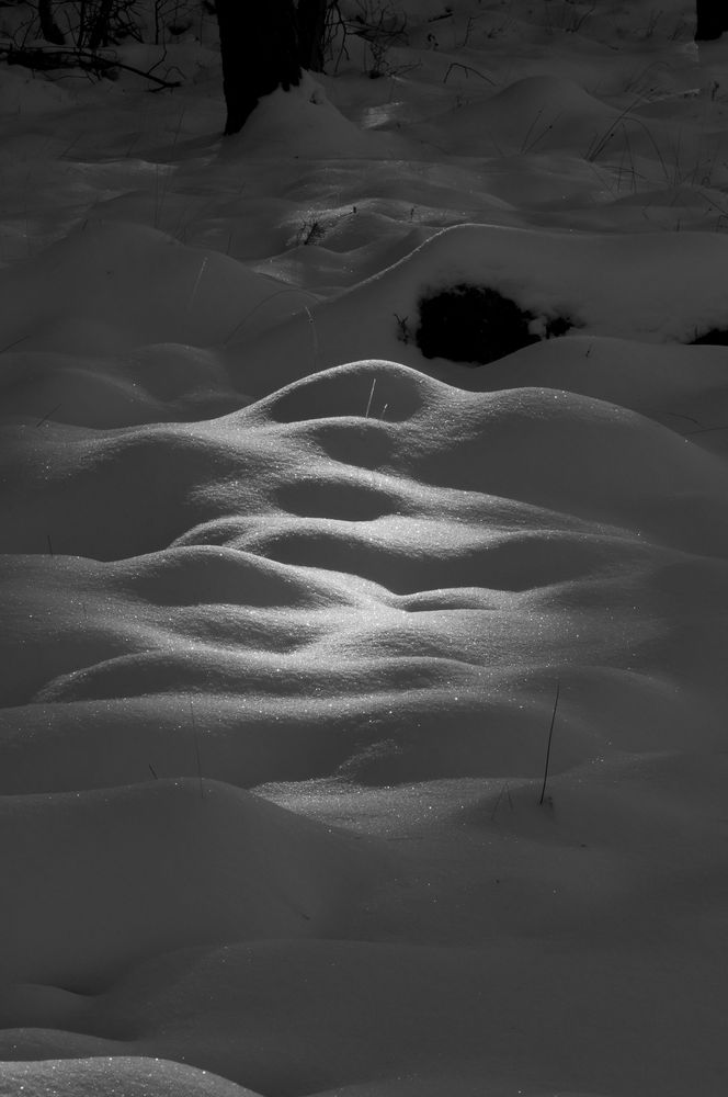 Diamanten im Schnee