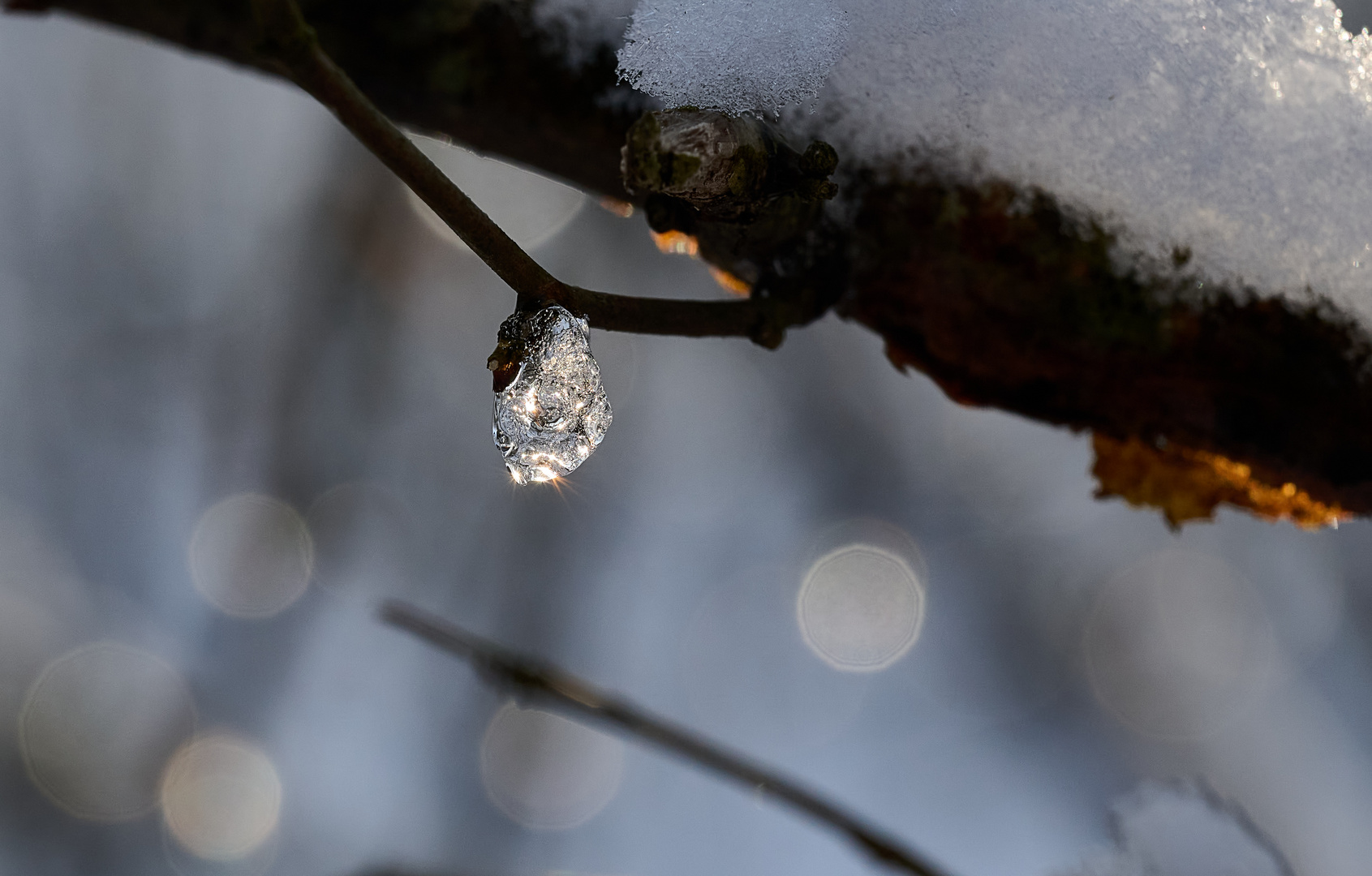 Diamantenbaum