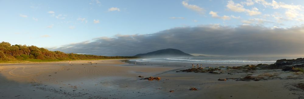 Diamond Head, NSW, March 2014