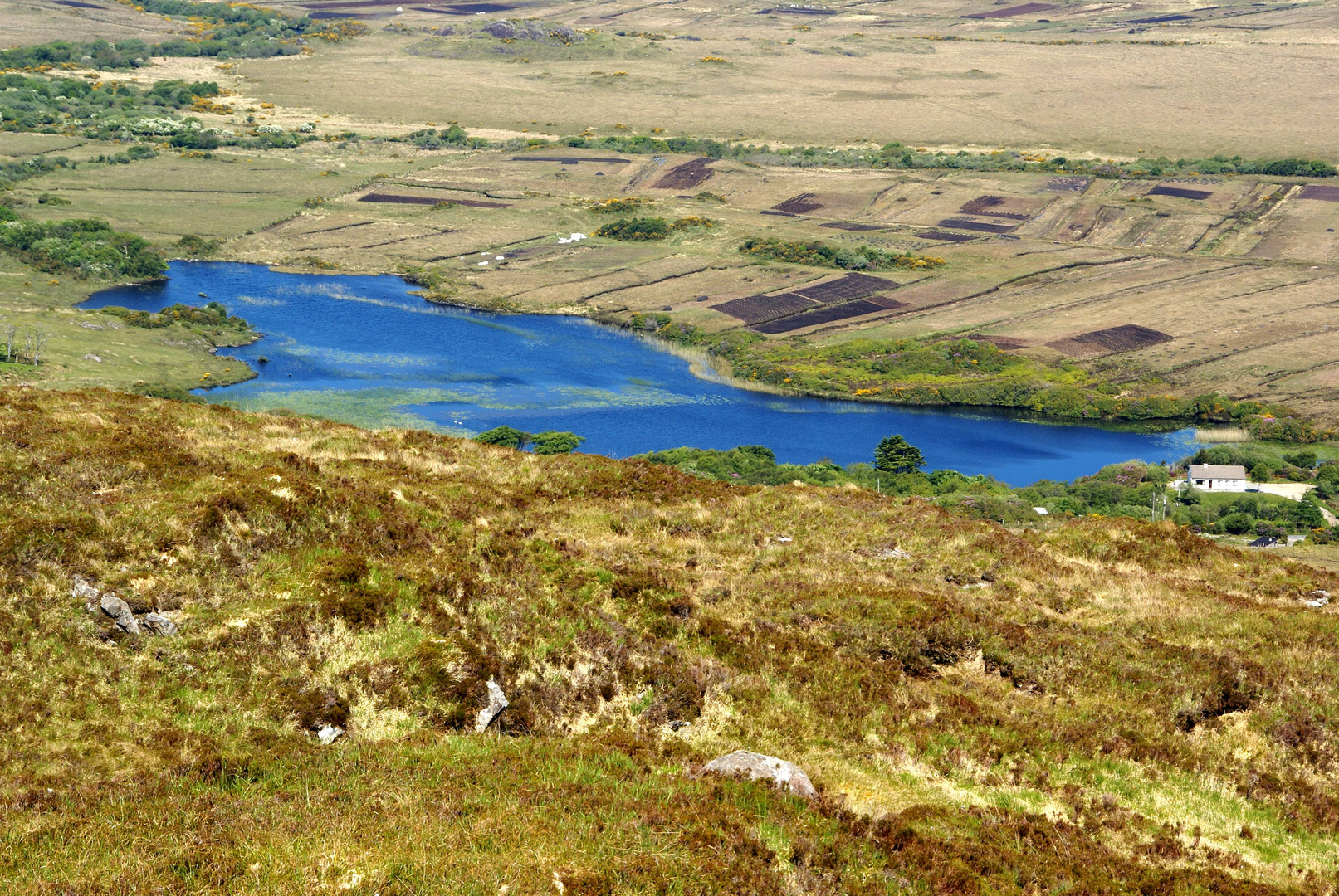 Diamond Hill Connemara