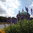 Diana-Tempel im Hofgarten