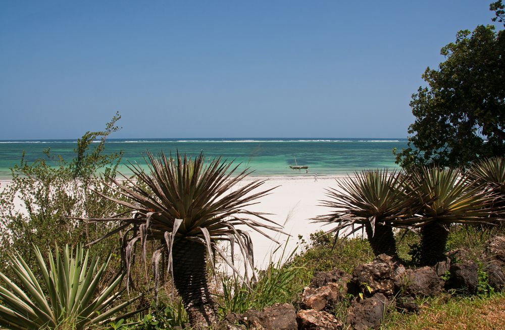 Diani Beach Impressionen ~1~ Foto & Bild | kenia 2012, africa, kenya ...