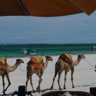 Diani Beach Mombasa