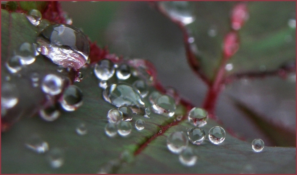 DIAS DE LLUVIA -Lágrimas-