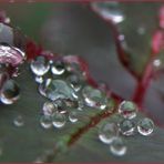 DIAS DE LLUVIA -Lágrimas-