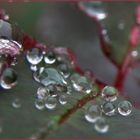 DIAS DE LLUVIA -Lágrimas-