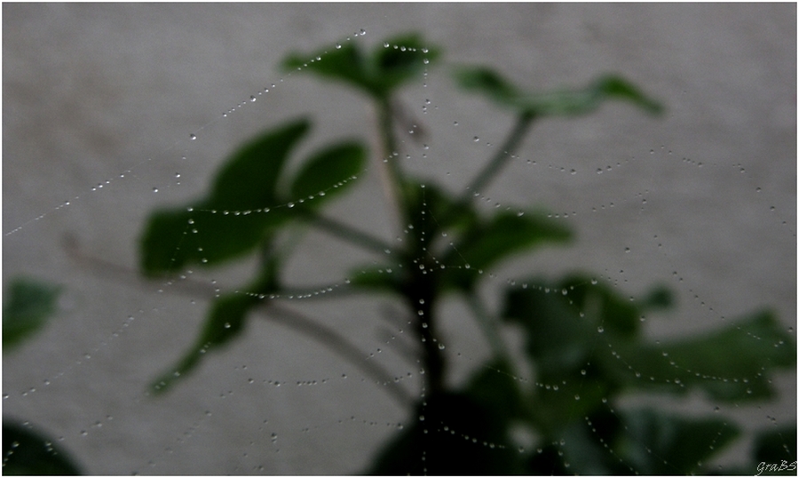 DIAS DE LLUVIA -Sutilezas-