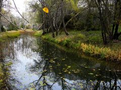 Dias de Otoño.