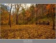 Días de Otoño von Segura Carmona 