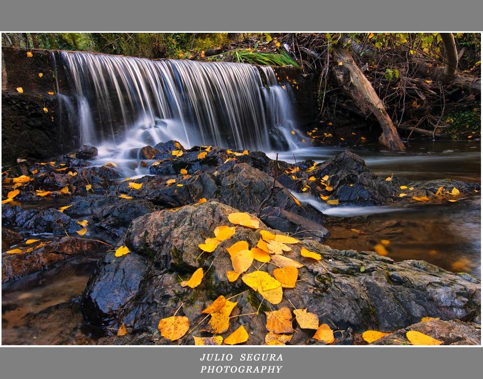 Días de Otoño III