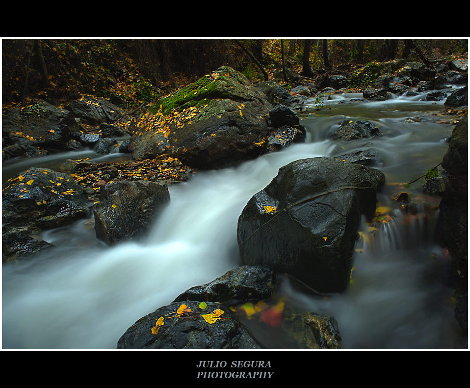 Días de Otoño VII