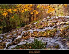 Días del Moncayo