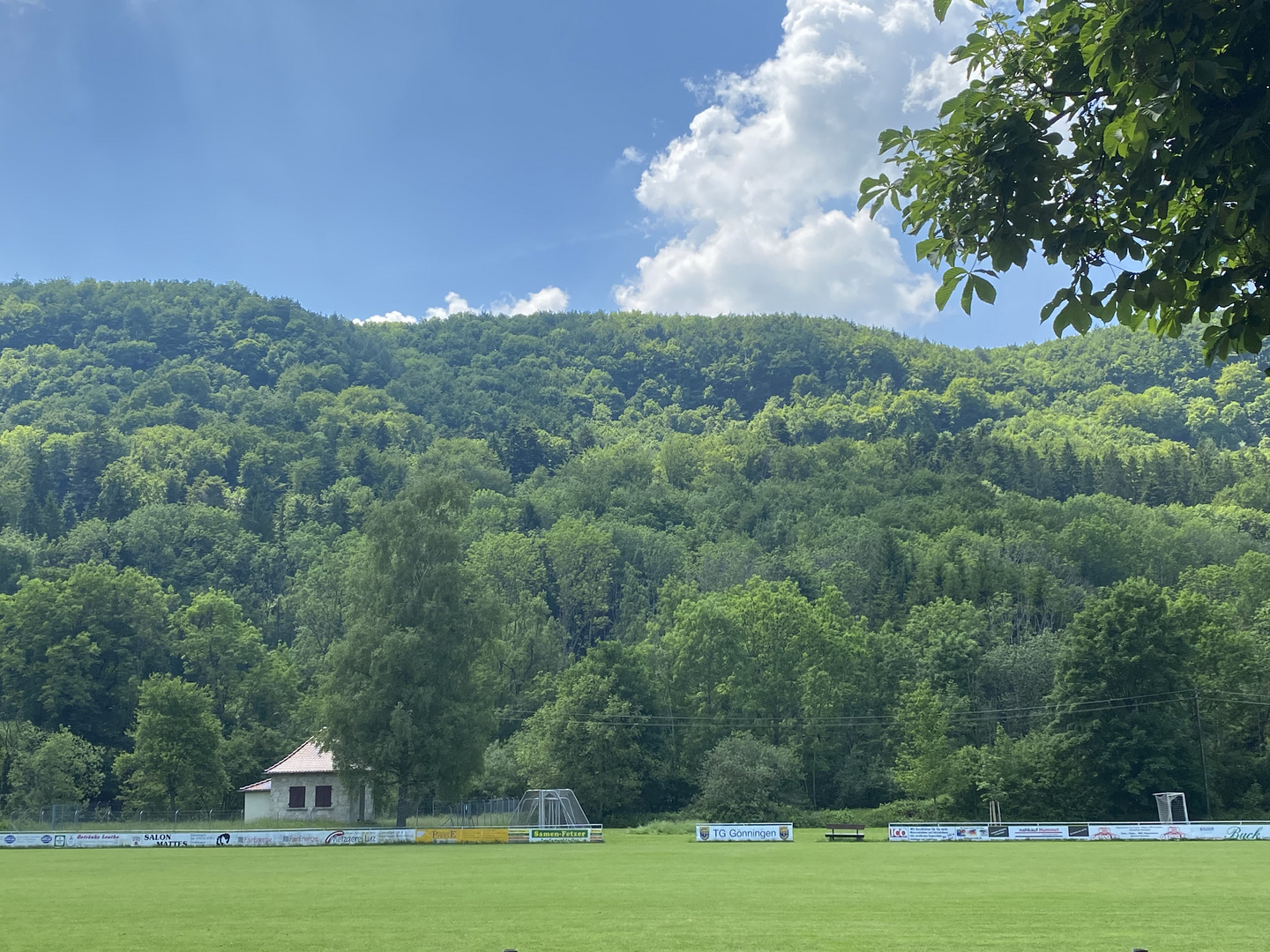 Dicht bewaldete Hügellandschaften 