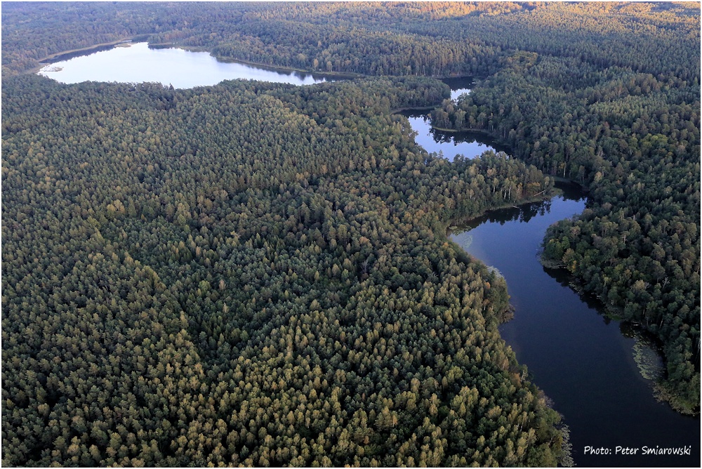 Dichte Wälder über Masuren