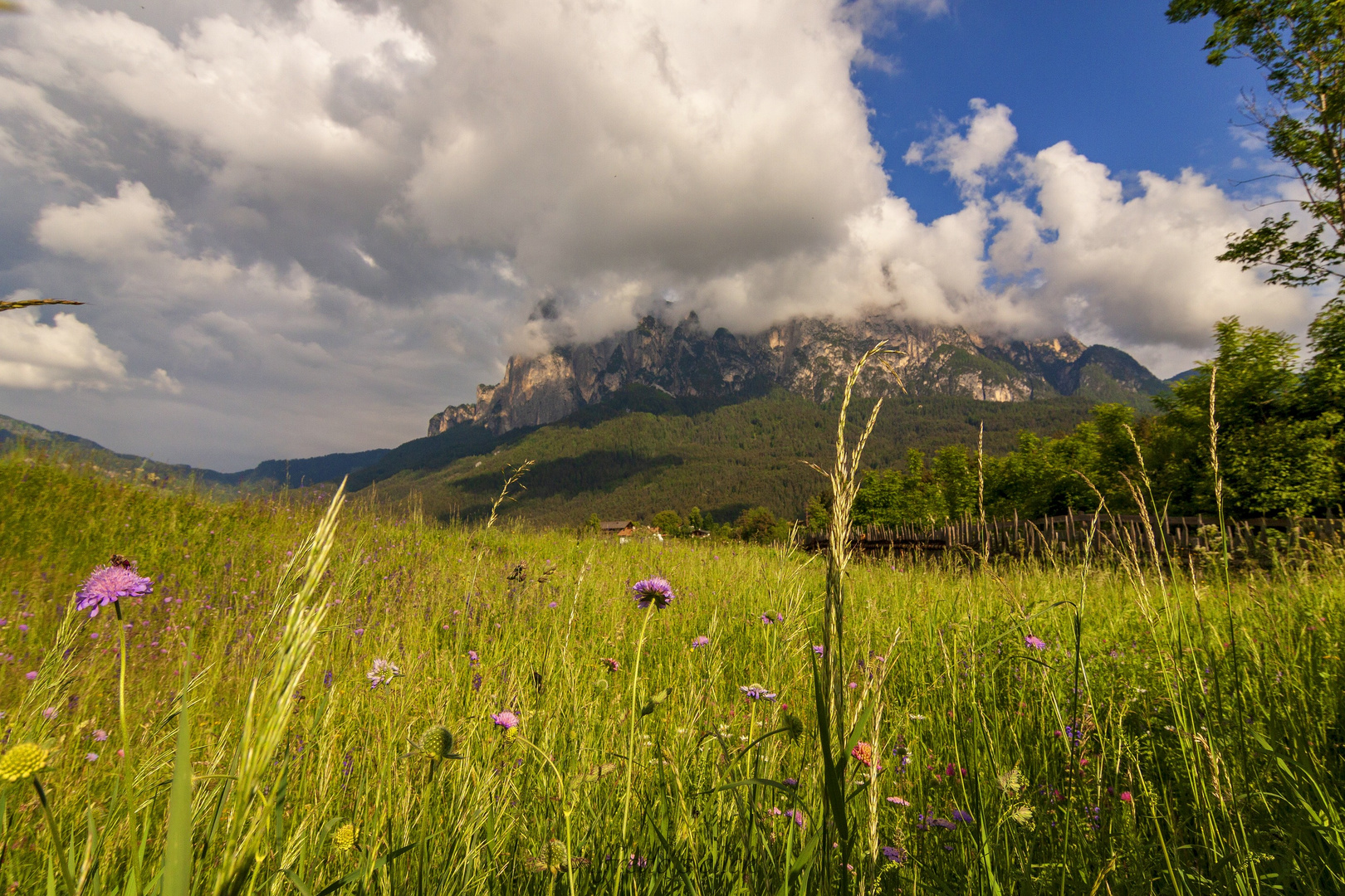 Dichte Wolken über der Spitze des Schlern