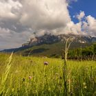 Dichte Wolken über der Spitze des Schlern