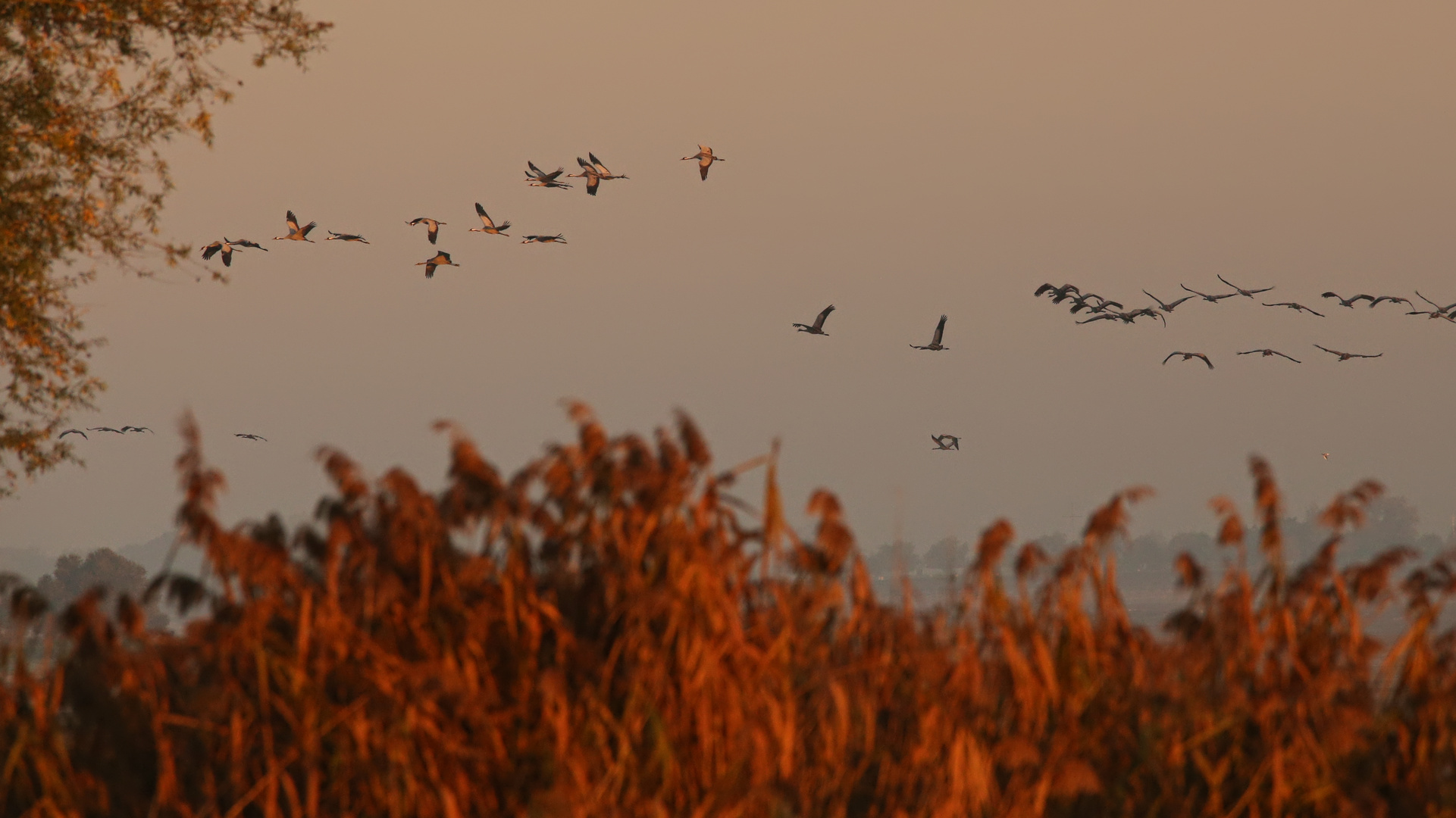 Dichter Flugbetrieb am Morgen (2016_10_30_EOS 6D_0749_ji)