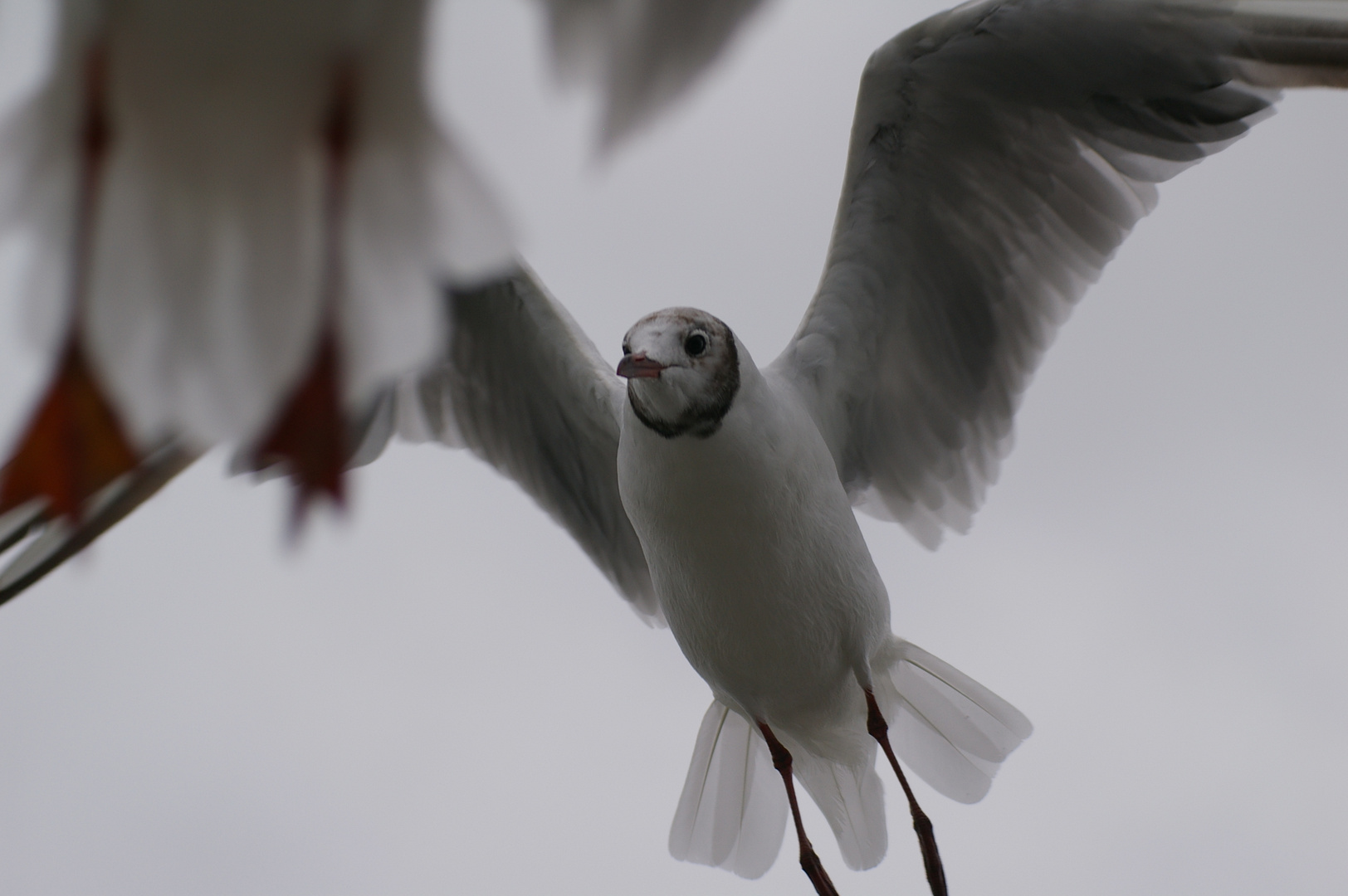 Dichter Flugverkehr heute