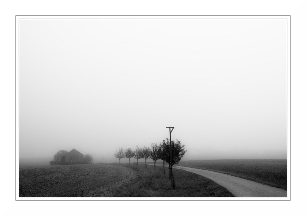 dichter Herbstnebel