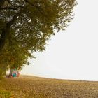 Dichter Herbstnebel liegt über dem Bodensee.