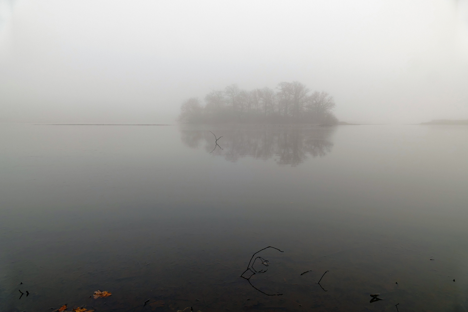 Dichter Nebel am Mittelteich Foto & Bild bäume, winter, teich Bilder