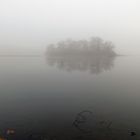 Dichter Nebel am Mittelteich