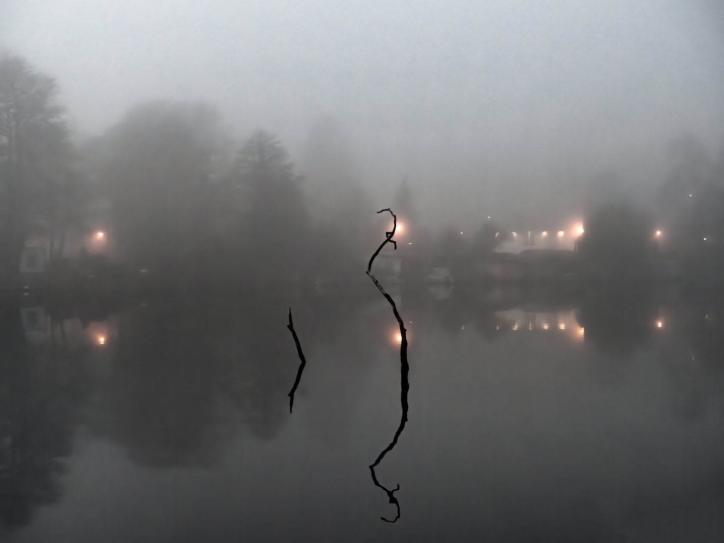 Dichter Nebel an der grossen Krampe bei Müggelheim