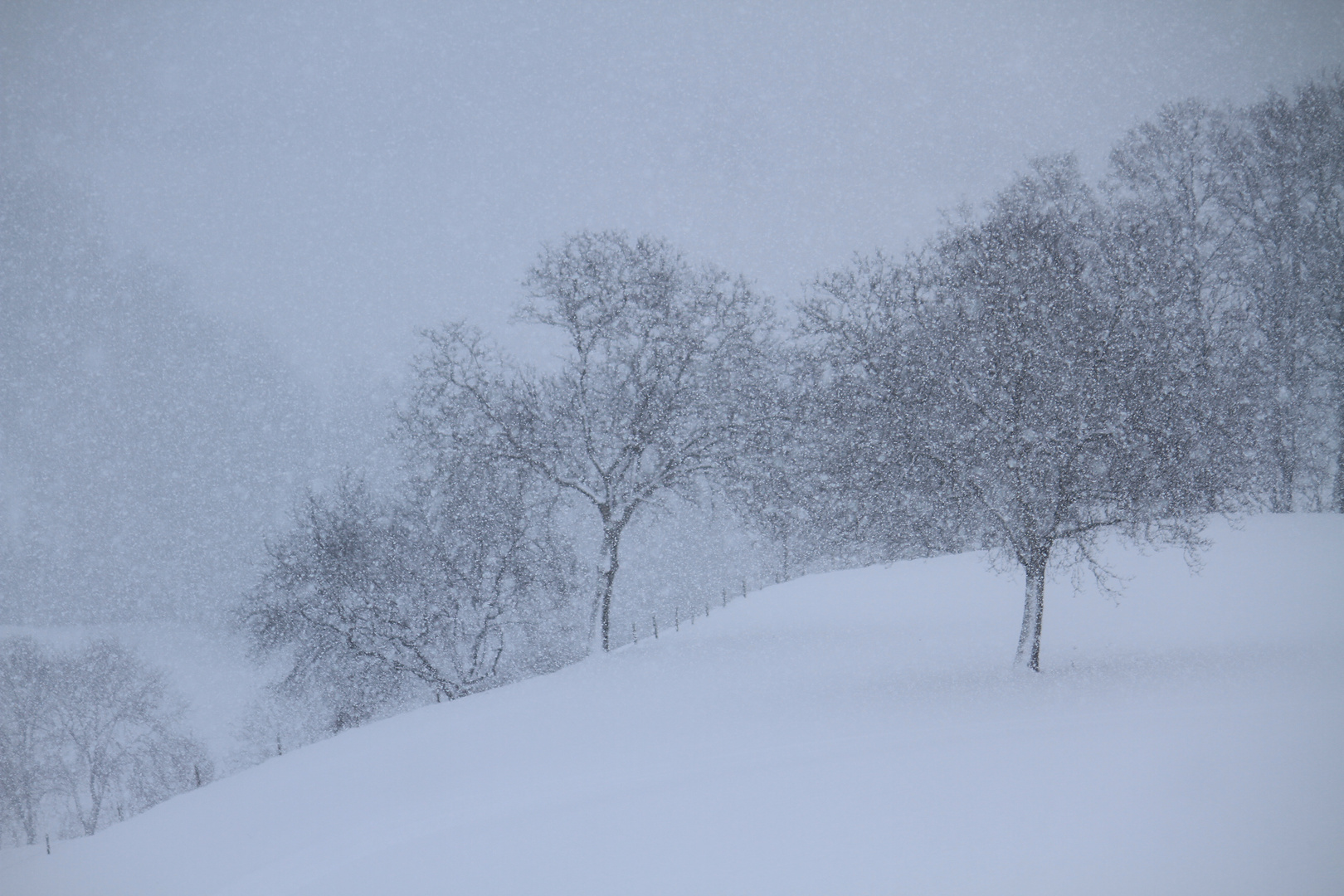 dichtes Schneetreiben