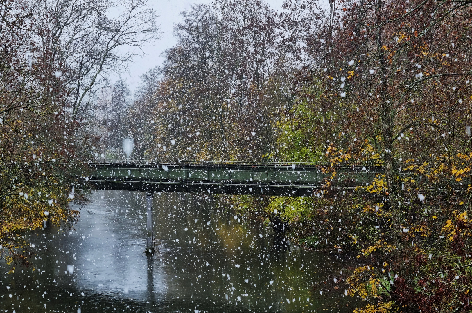 "Dicke Flocken" 