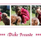 Dicke Freunde