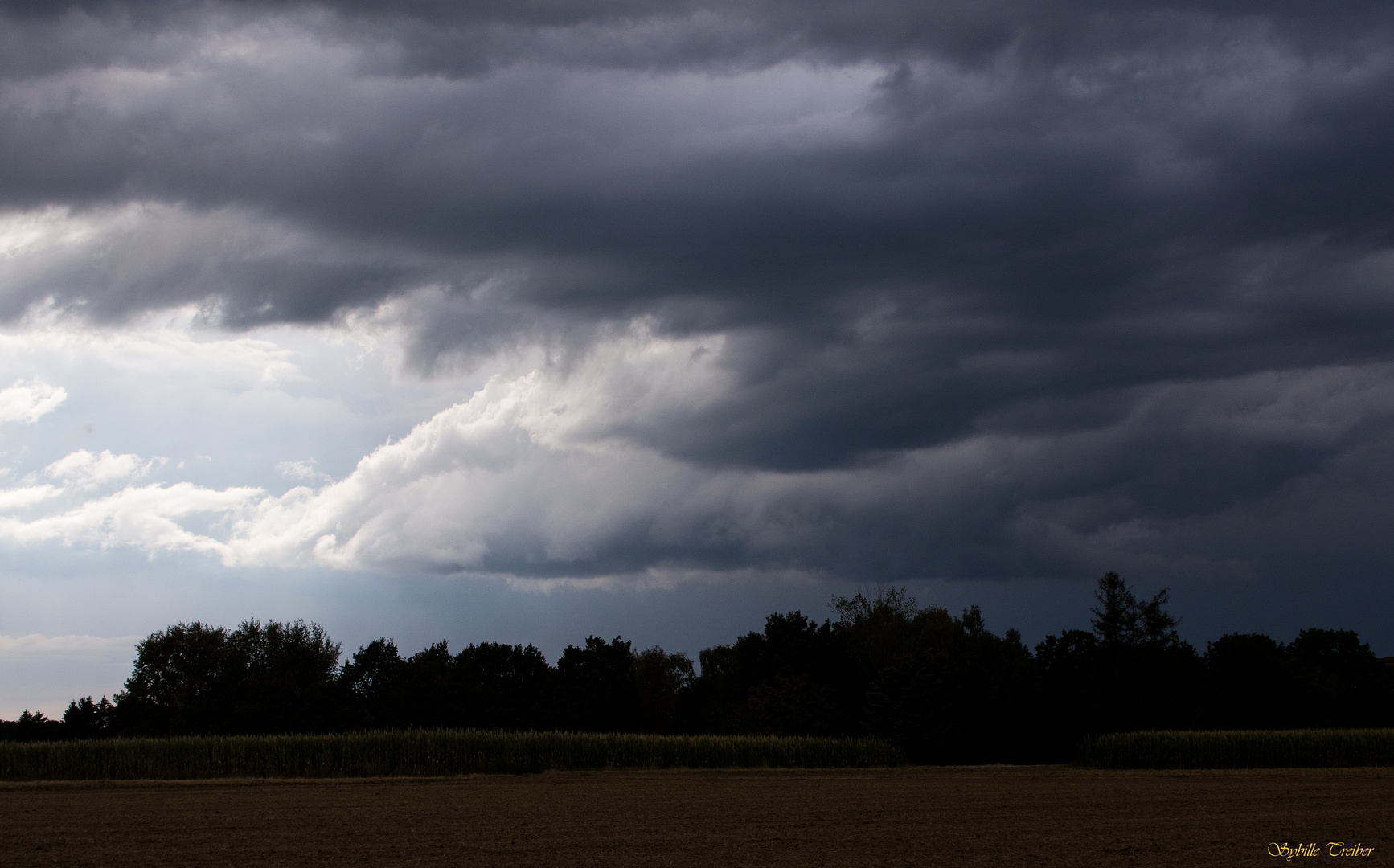 Dicke Regenwolken