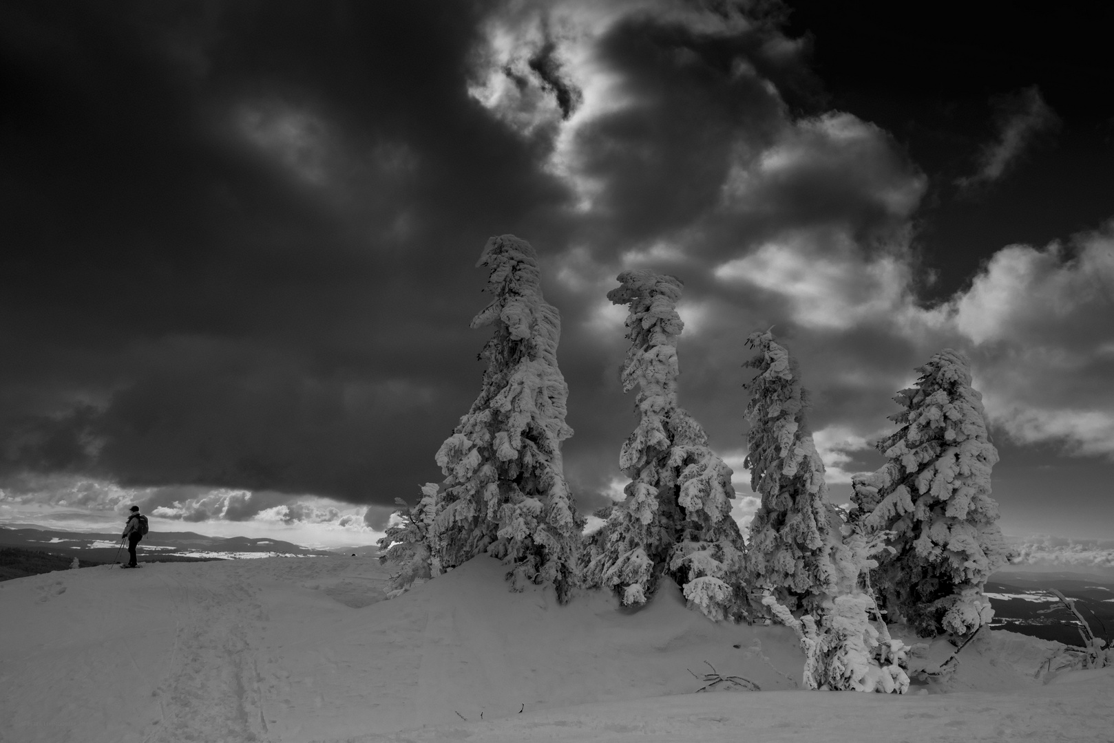 Dicke Schneewolken über dem Gipfel des Lusen...