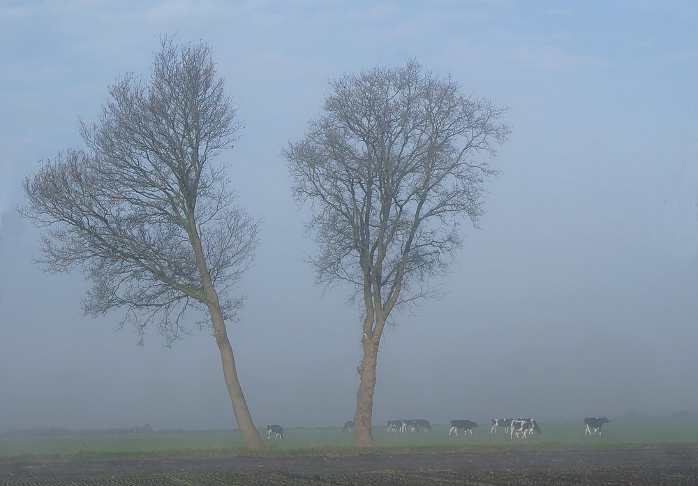 Dicke Suppe