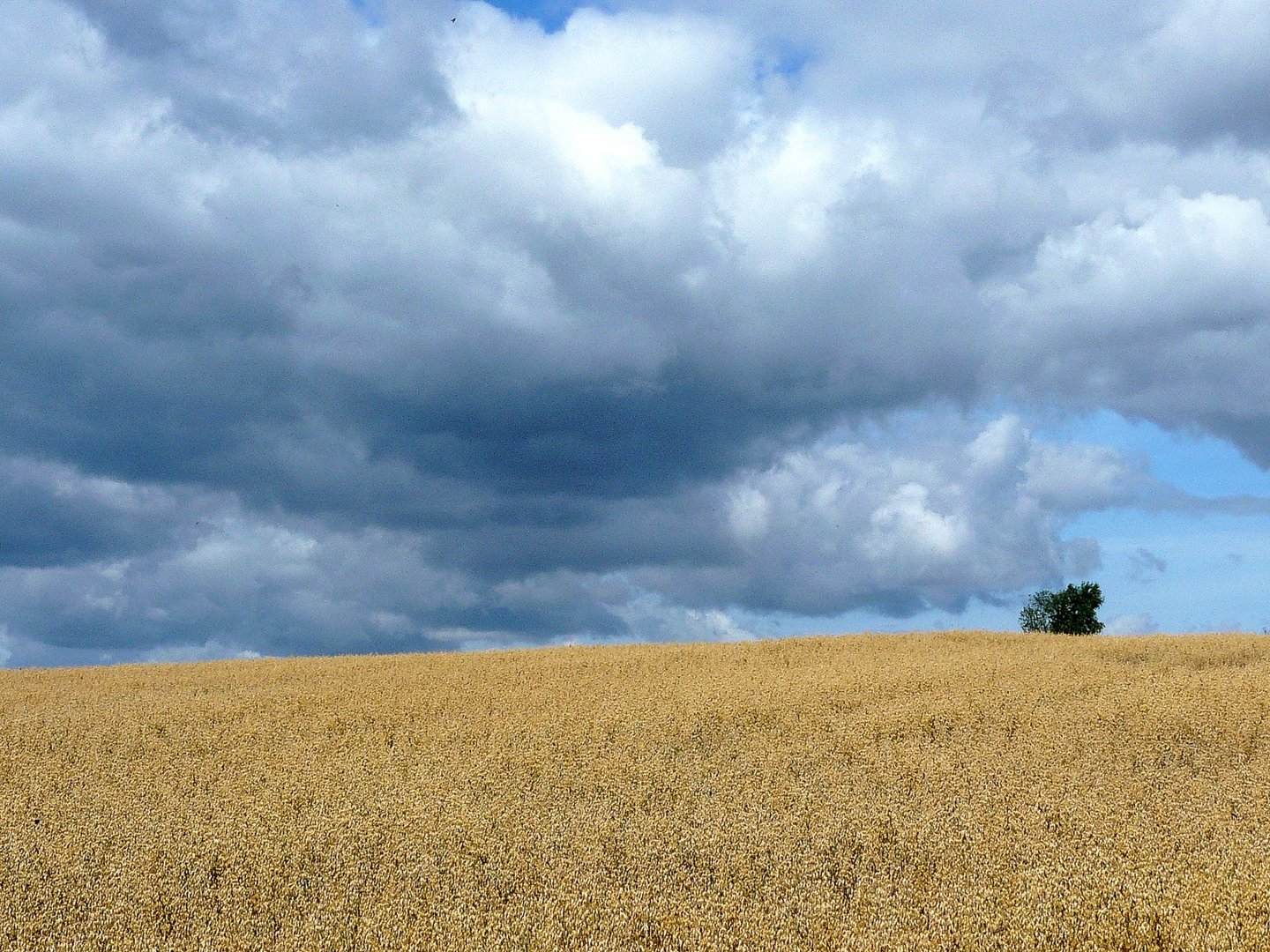 Dicke Wolken