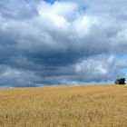 Dicke Wolken