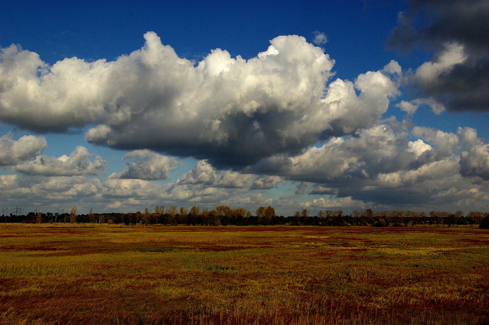 Dicke Wolken über den Spreewald