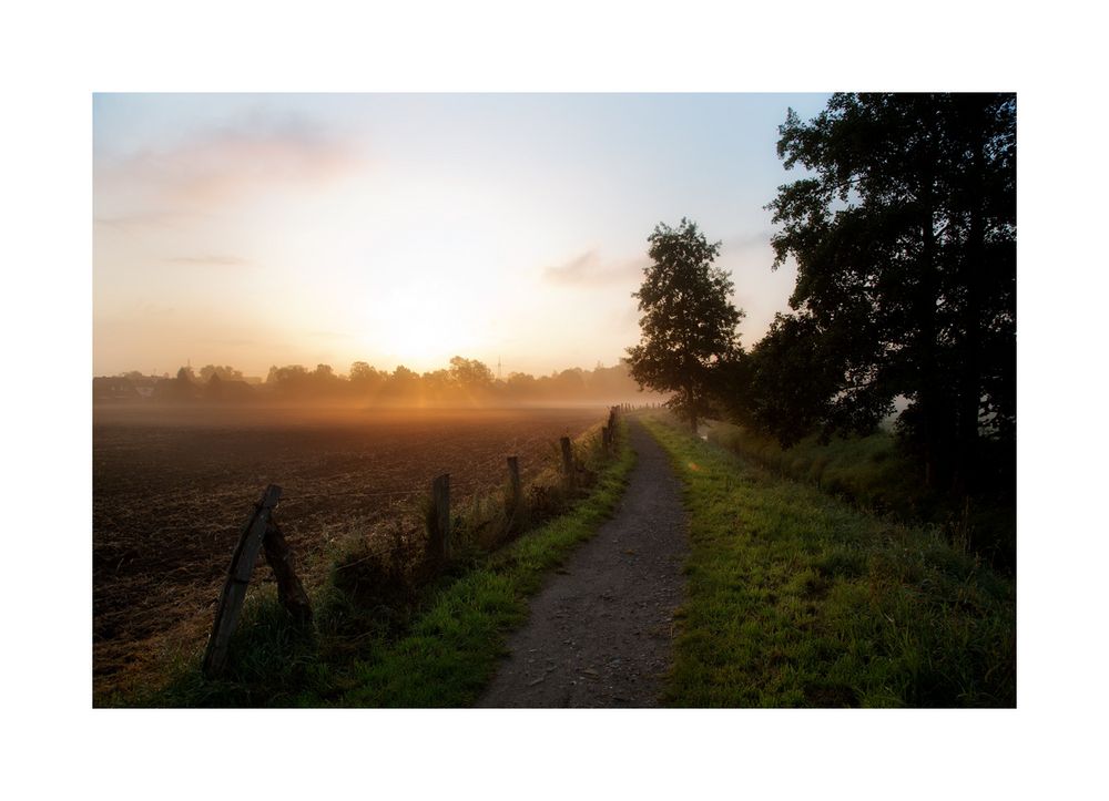 < Dickelsbachweg im Herbstlicht >