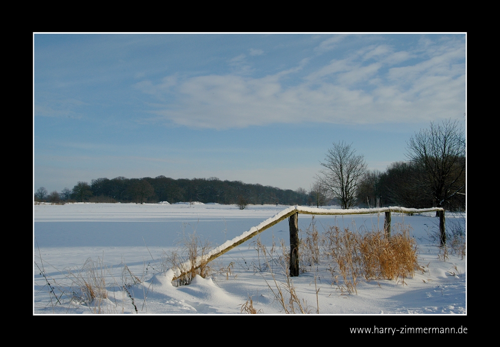 Dicken Böken im Winter