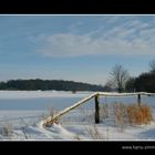 Dicken Böken im Winter