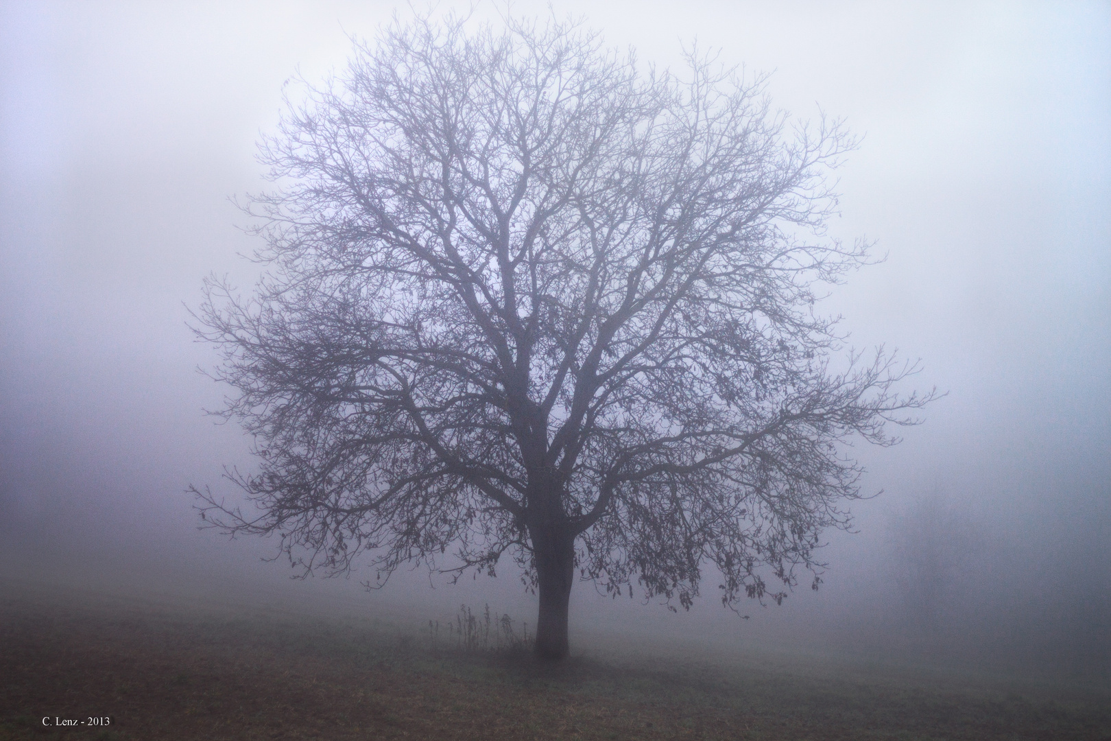 Dicker Nebel