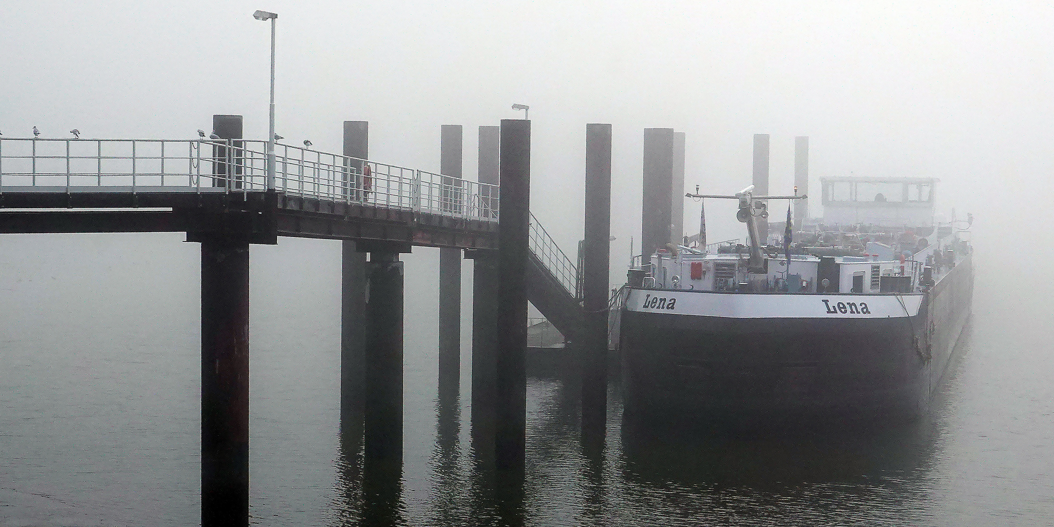 Dicker Nebel an der Elbe bei Hamburg-Entenwerder