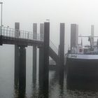 Dicker Nebel an der Elbe bei Hamburg-Entenwerder