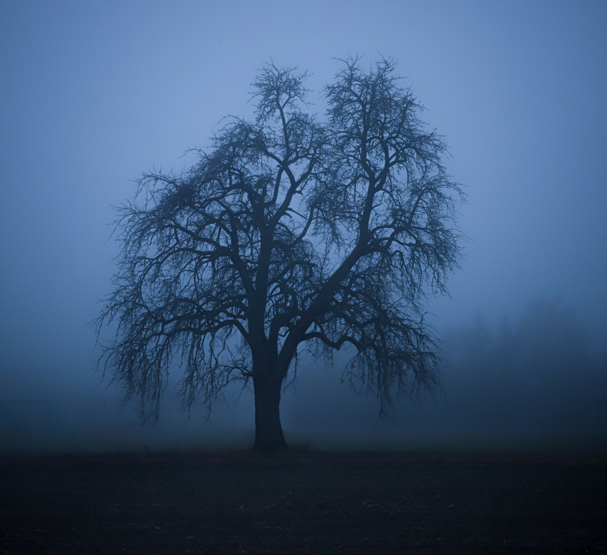 "Dicker Nebel früh am Morgen"...