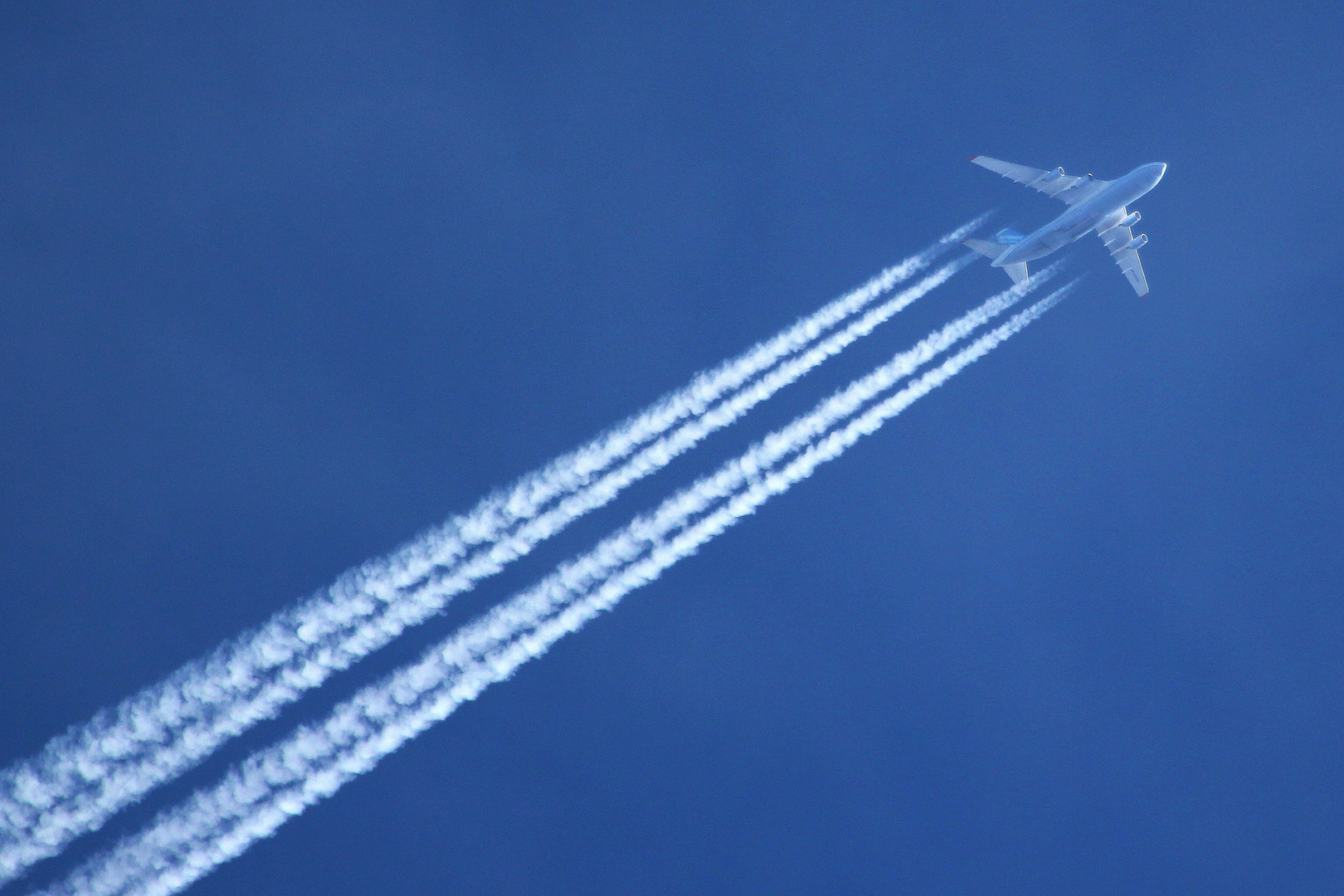 Dicker Überflieger