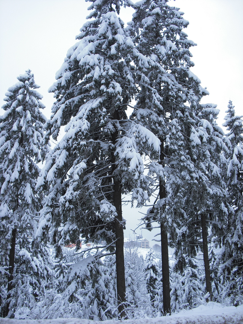 Dickes Schneekleid