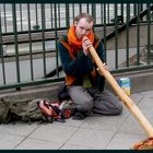 Didgeridoo