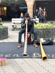 Didgeridoo