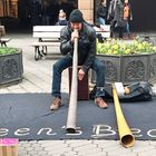 Didgeridoo