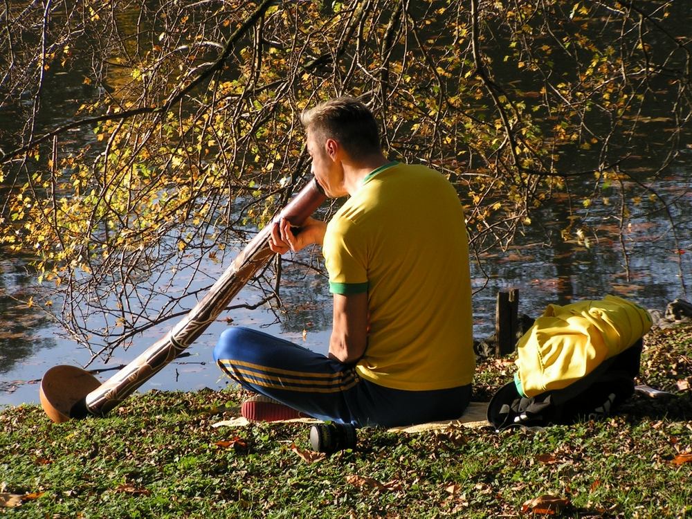 Didgeridoospieler im Rombergpark in Dortmund...