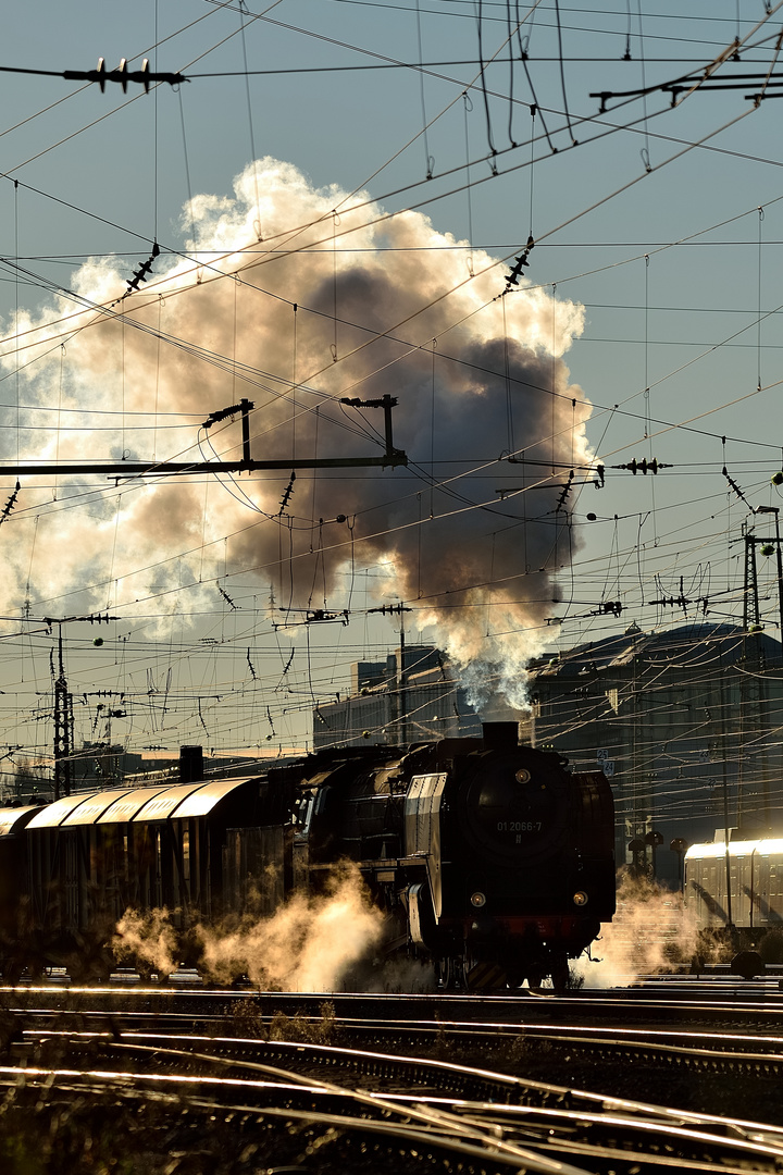 die 01 20667 Foto & Bild münchen, eisenbahn, verkehr Bilder auf